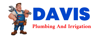 Trusted plumber in GAINESTOWN